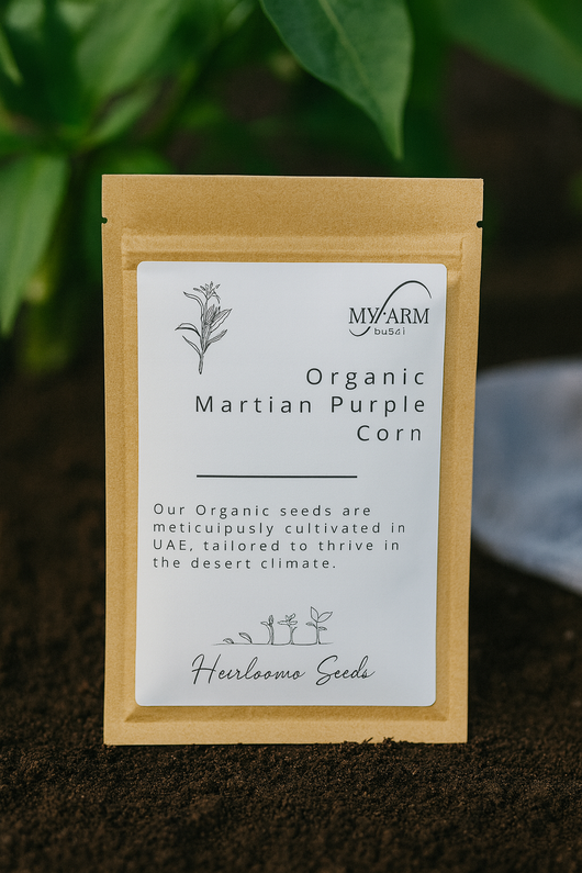 بذور الذرة المريخية الأرجوانية العضوية التراثية