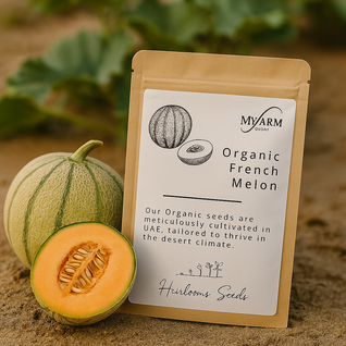 French Melon Heirloom Seeds