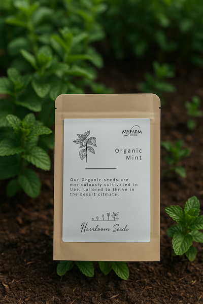 Seeds Organic Mint Heirloom