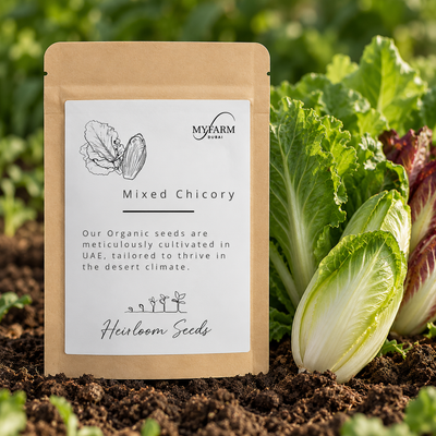 Seeds Organic Mixed Chicory