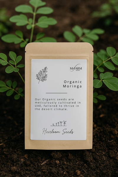 Seeds Organic Moringa  Heirloom