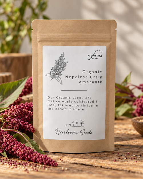 Organic Heirloom Nepalese Grain Amaranth Seeds