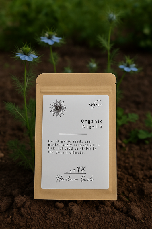 بذور عضوية من صنف حبة البركة