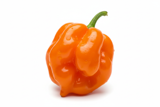 Orange Habanero