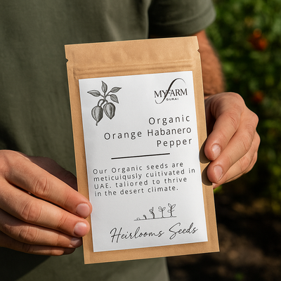 Organic Heirloom Orange Habanero Pepper Seeds