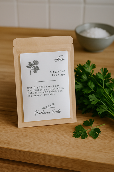 Seeds  Organic Parsley  Heirloom