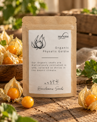 Organic Heirloom Physalis Pubescens Goldie Seeds
