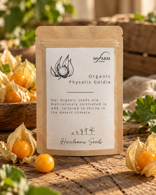 Organic Heirloom Physalis Pubescens Goldie Seeds