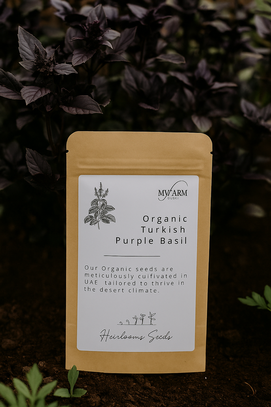 Organic Purple Basil Seeds Heirloom
