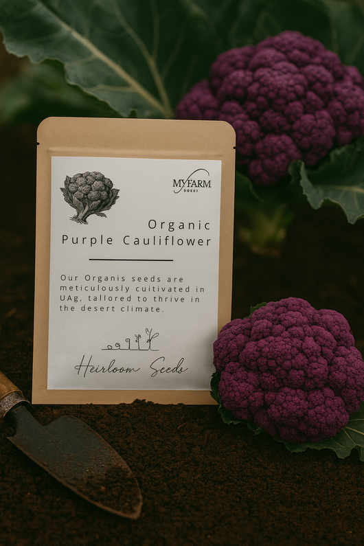 Organic Heirloom Purple Cauliflower Seeds
