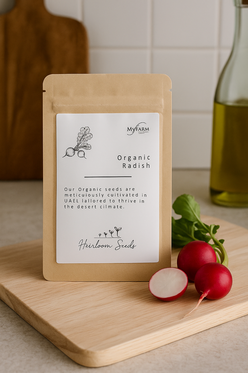 بذور الفجل العضوي الأصيل