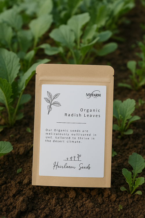 بذور أوراق فجل عضوي من أصناف تراثية