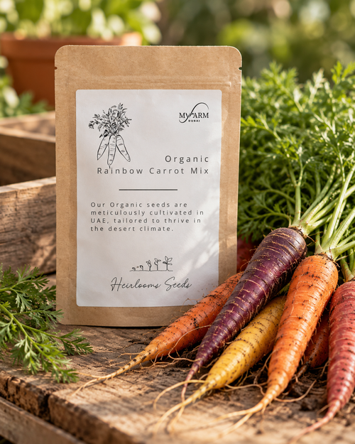 Organic Heirloom Rainbow Carrot Mix Seeds
