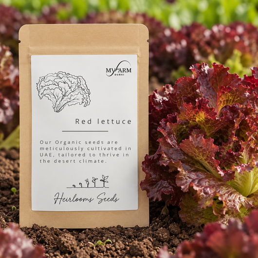 Seeds Organic Red Lettuce