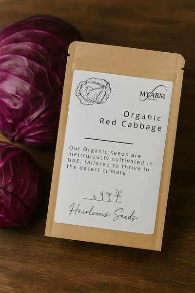 Organic Red Cabbage Seeds Heirloom
