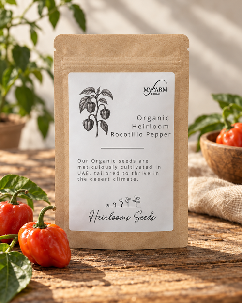 Organic Heirloom Rocotillo Pepper Seeds