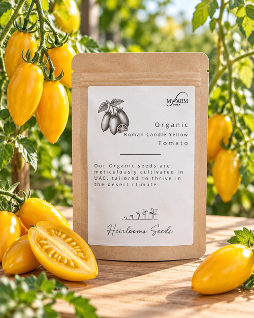 Organic Heirloom Roman Candle Yellow Tomato Seeds