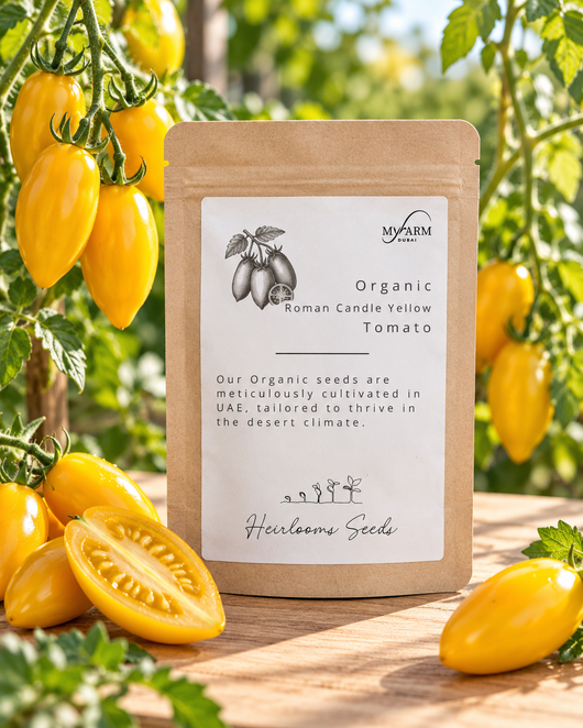 Organic Heirloom Roman Candle Yellow Tomato Seeds