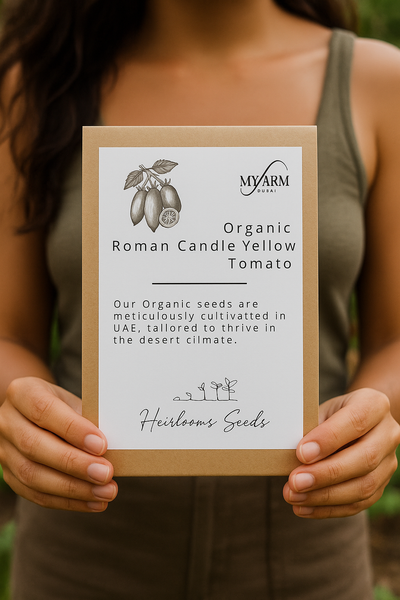 Organic Heirloom Roman Candle Yellow Tomato Seeds