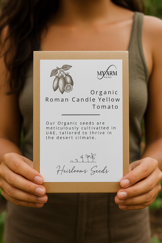 Organic Heirloom Roman Candle Yellow Tomato Seeds