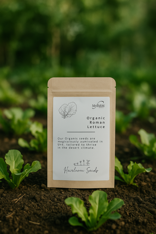 بذور خس روماني عضوي من أصناف تراثية