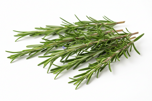 Organic Dried Rosemary
