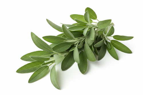 Organic Dried Sage