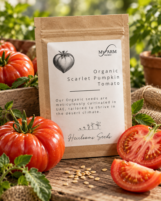 Organic Heirloom Scarlet Pumpkin Late Tomato Seeds
