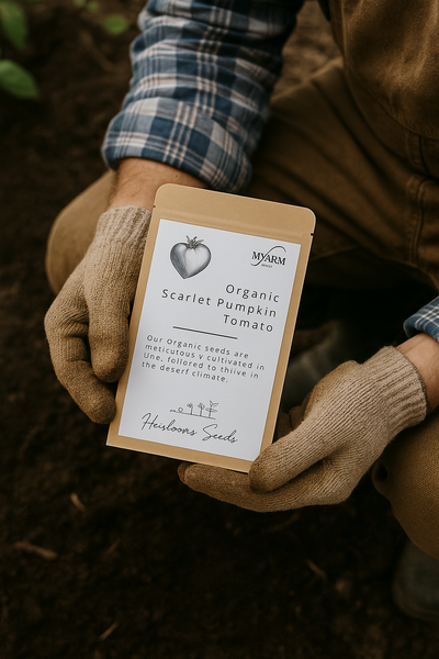 Organic Heirloom Scarlet Pumpkin Late Tomato Seeds