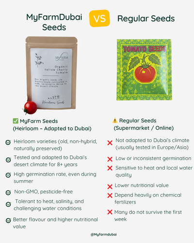 بذور البطيخ الفرنسي التراثية