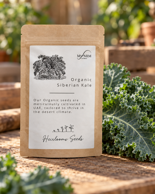 Organic Heirloom Siberian Kale Seeds