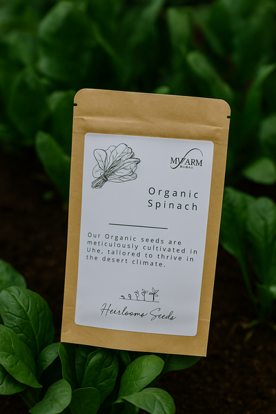 Organic Spinach Seeds Heirloom