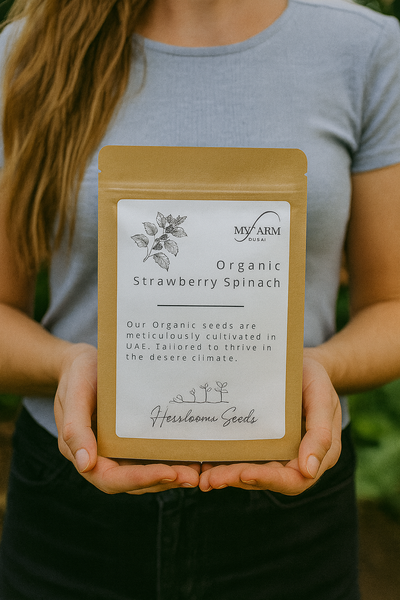 Organic Heirloom Strawberry Spinach Seeds