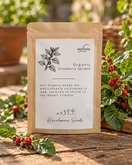 Organic Heirloom Strawberry Spinach Seeds