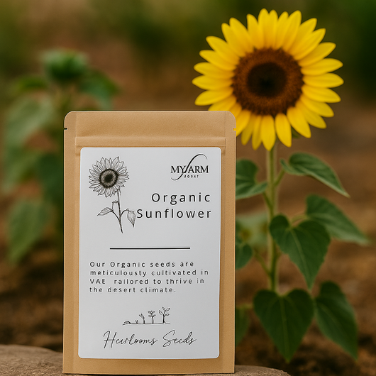 بذور دوار الشمس العضوي الأصيل