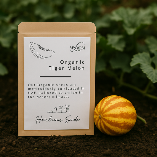Organic Heirloom Tiger Melon Seeds