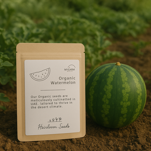 بذور بطيخ عضوي من أصناف تراثية