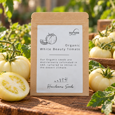 Organic Heirloom White Beauty Tomato Seeds