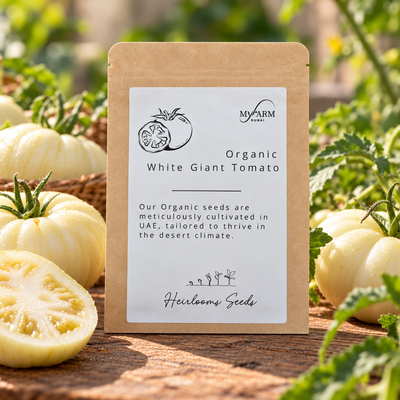 Organic Heirloom White Giant Tomato Seeds