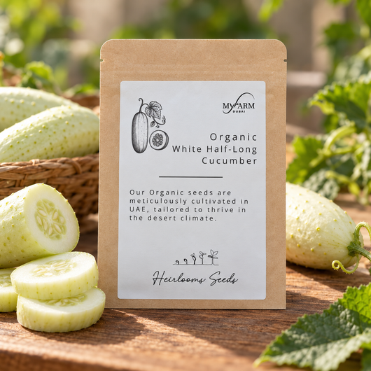Organic Heirloom White Half-Long Cucumber Seeds