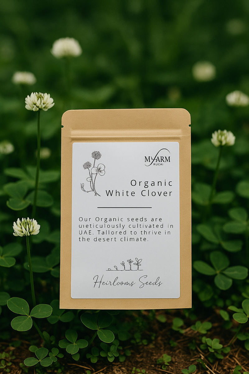 بذور عضوية وأصيلة