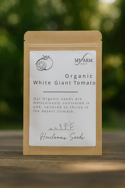 بذور الطماطم البيضاء العملاقة العضوية التراثية