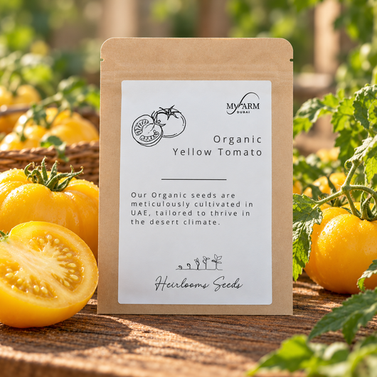 Organic Heirloom Yellow Tomato Seeds