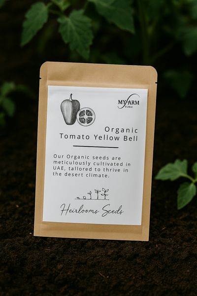 بذور الطماطم الصفراء العضوية التراثية