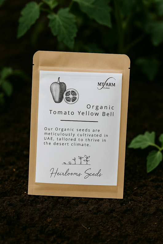 بذور الطماطم الصفراء العضوية التراثية