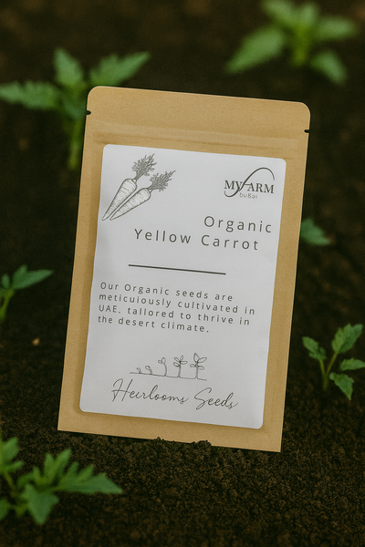 بذور الجزر الأصفر العضوية التراثية